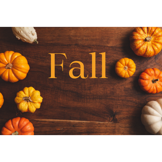 Fall