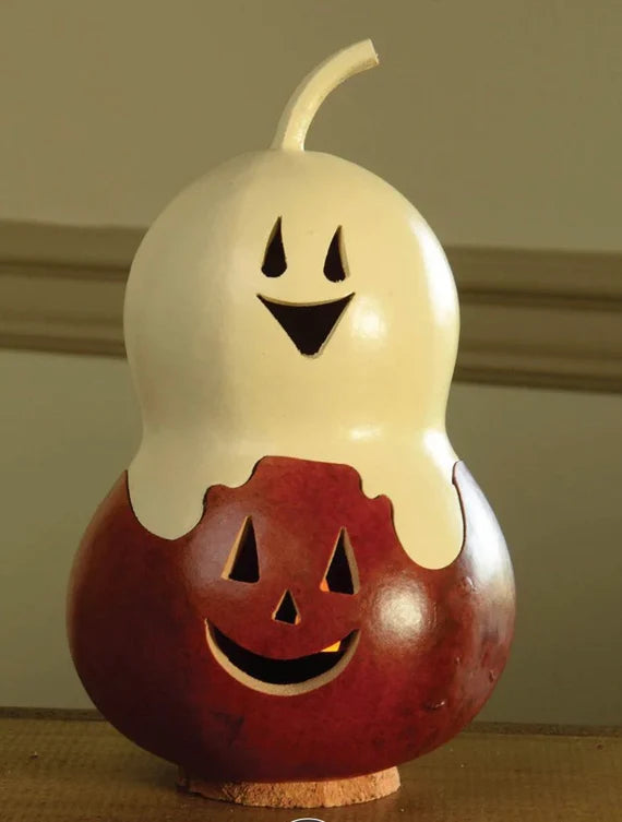 Meadowbrook Gourds Ghost Pumpkin Miniature Gourd! New