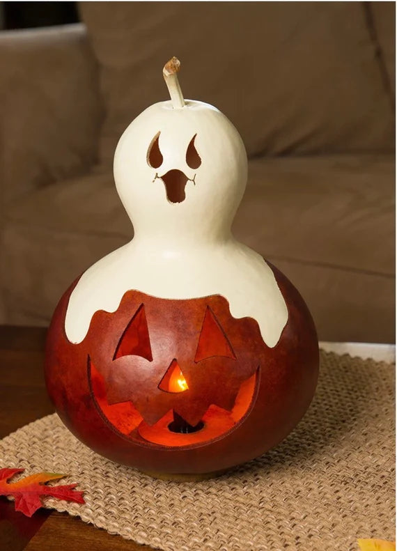 Meadowbrook Gourds Ghost Pumpkin Gourd! New