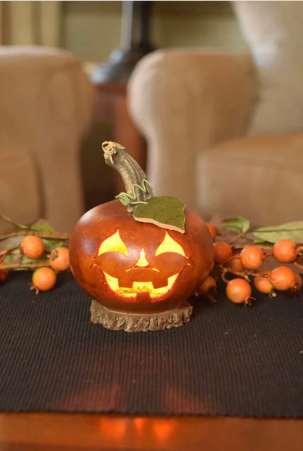 Meadowbrook Gourds Pumpkin Lighted Gourd! New