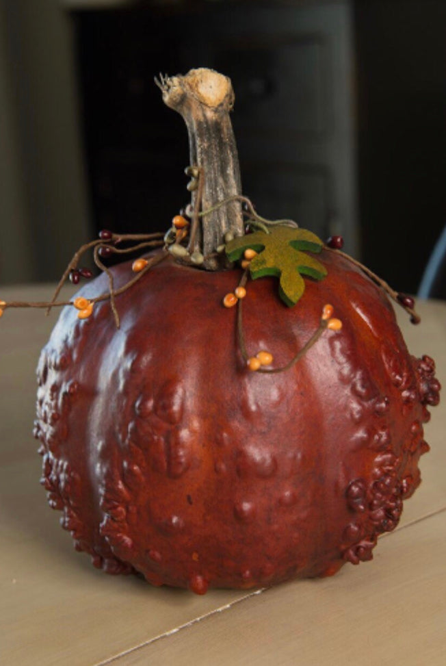 Meadowbrook Gourds Textured Gourd Pumpkins!