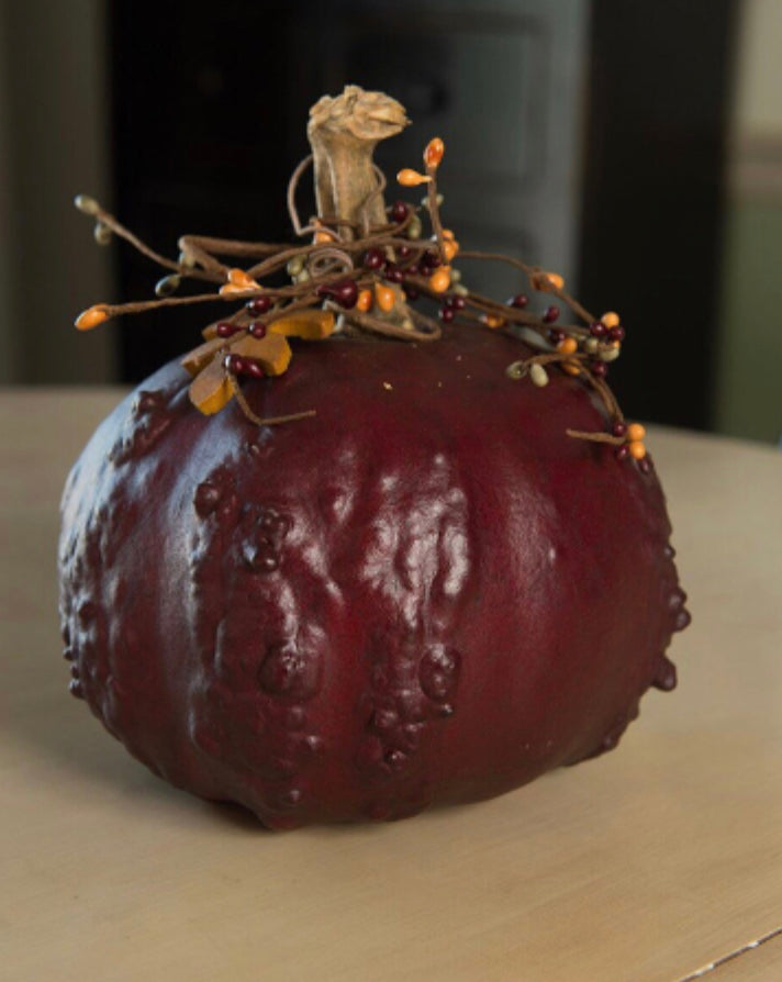 Meadowbrook Gourds Textured Gourd Pumpkins!