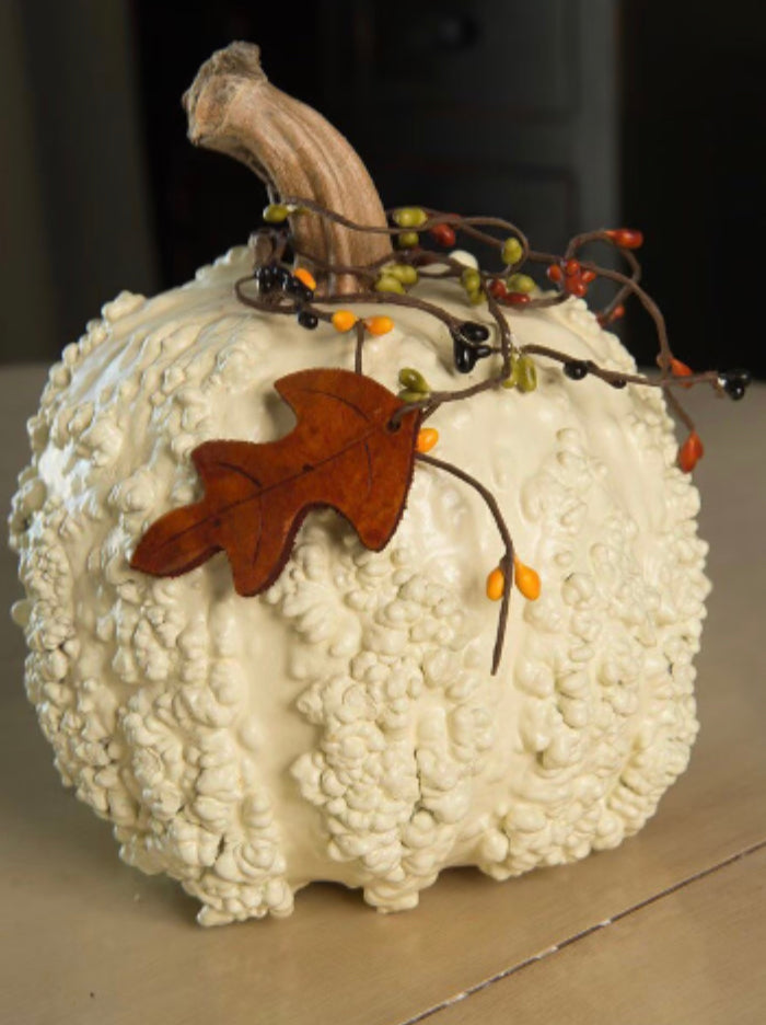 Meadowbrook Gourds Textured Gourd Pumpkins!