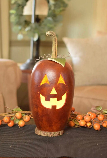 Meadowbrook Gourds Tall Pumpkin Lighted Gourd! New