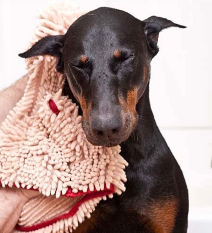 Soggy Doggy Super Shammy! NEW