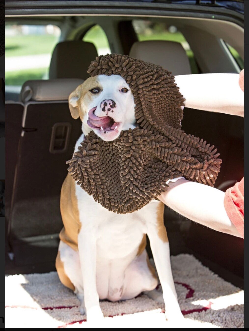 Soggy Doggy Super Shammy! NEW