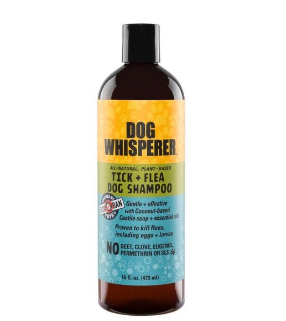 Dog Whisperer TICK + FLEA Dog Shampoo 16 oz