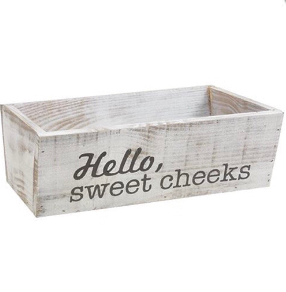 Hello Sweet Cheeks/Seat Yourself Reversible Toiletries Box NEW