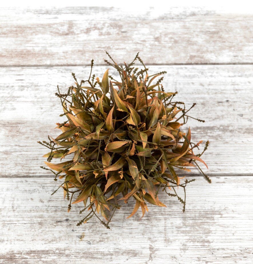8.5” Clematis Chinensis Half Ball New