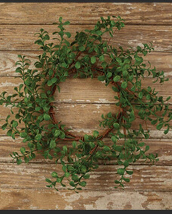 Farmstead Leaf Boxwood Wreath 14”  NEW
