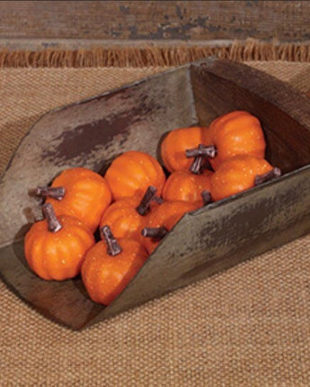 Bag of Lil’ Pumpkins Orange or White! New