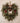 24" Fittonia, Holly & Pine w/ Berries Hanging Wreath! New